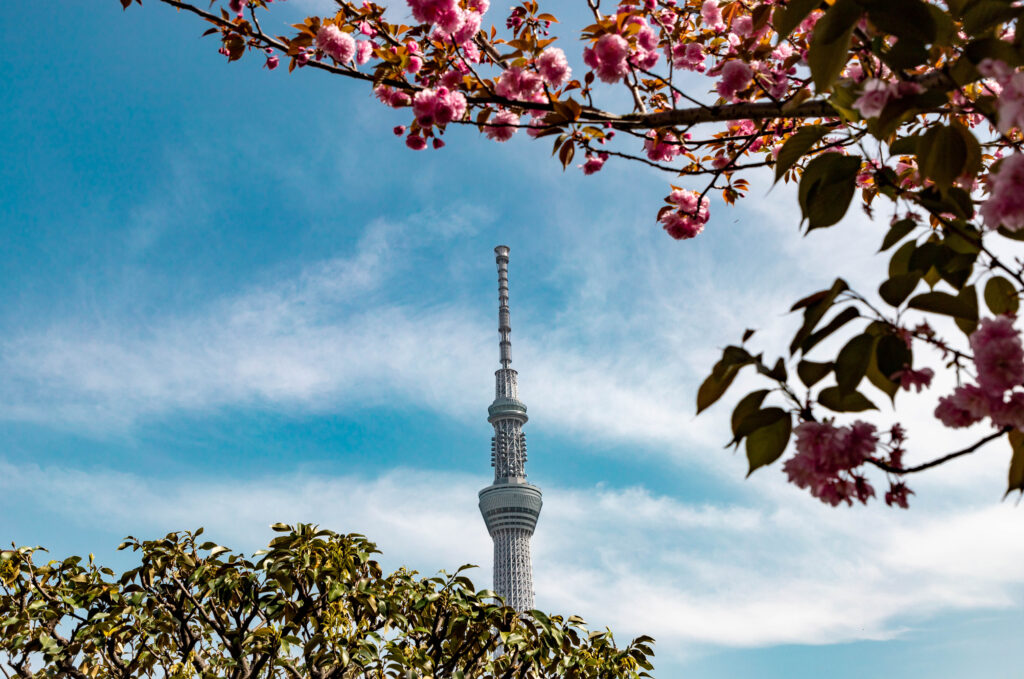 Skytree